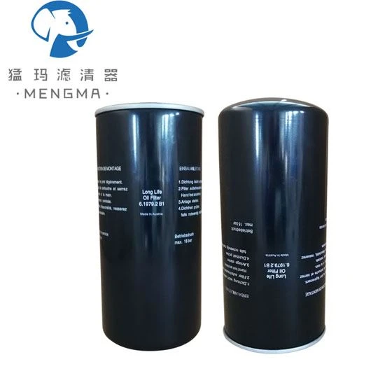 Oil Filter 6.1979.0